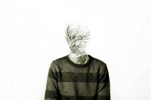 FDA Registration Drugs Companies